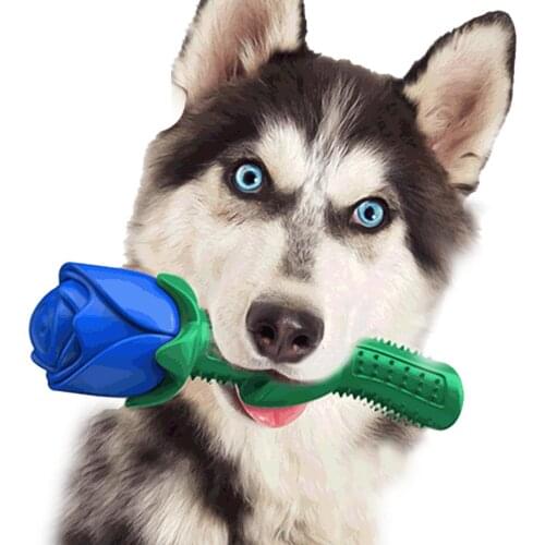 Dog Teether Rose Shape Chewing Rubber Pet Supply For Park Dog Supplies Interactive Toy Non-toxic Eco-friendly Best Gift