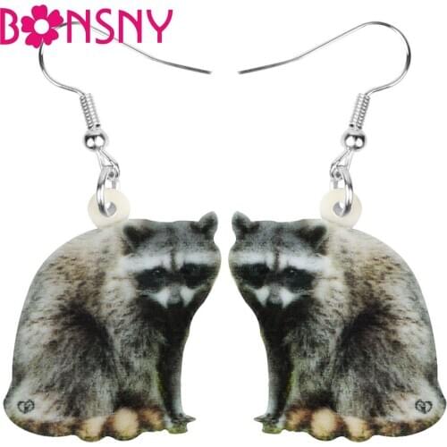 Bonsny Acrylic Brown Northern Raccoon Earrings Long Big Print Wild Animal Dangle Drop Jewelry For Women Kids Girls Trendy Gift