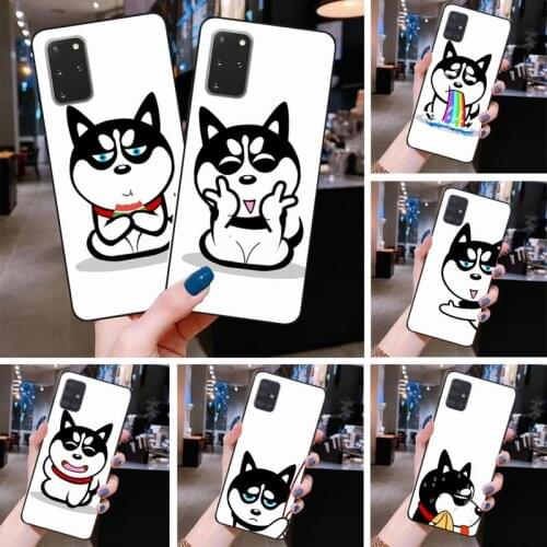Funny Cartoon Siberian Husky Phone Case For Samsung Galaxy S21 Plus Ultra S20 FE M11 S8 S9 plus S10 5G lite 2020