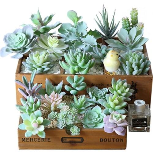 Flocking Succulents Creative Potted DIY Simulation Flower Head Home Garden Desktop Decoration Flower Arrangement Accessories