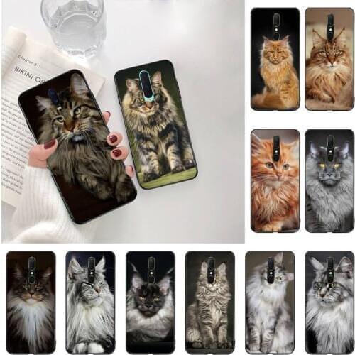 Pet maine coon cat DIY Painted Bling Phone Case For Oppo A5 A9 2020 Reno2 z Renoace 3pro Realme5Pro