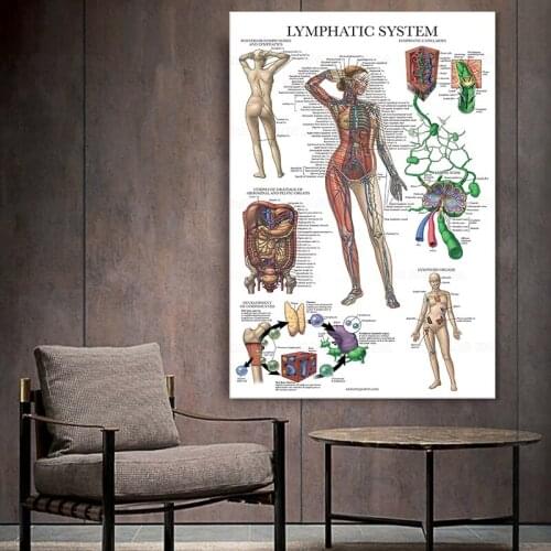 The lymphatic system Anatomical Chart Wall Picture Vintage Poster Nordic Canvas Print Education Painting Modern Decor artwork
