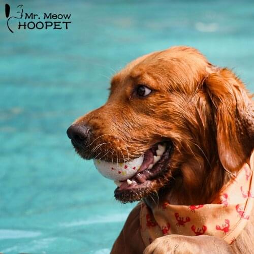 Hoopet Durable And Fun Toys For Dogs Interactive Training Ball Dog Toys Solid Bubble Ball For Dogs' Biting Elastic Dog Toy Ball