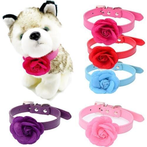 Rose Dog Collar Leather Pet Cat Collier Chain Flower Rhinestone Buckle for Small Middle Large Teddy Chihuahua Pug Golden hair