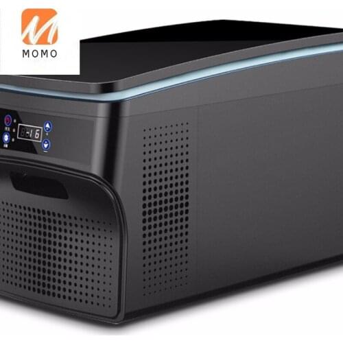 Portable 12V Compressor Fridge for Truck