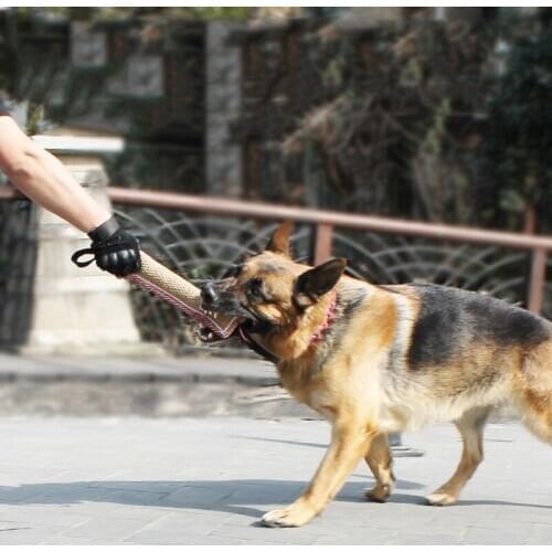 Pet Dog Toy Durable Dog Bite Toys Pet Interactive Training Toy For Small Medium Large Dogs Pet Rope Toys Dog Stuff Pet Supplies