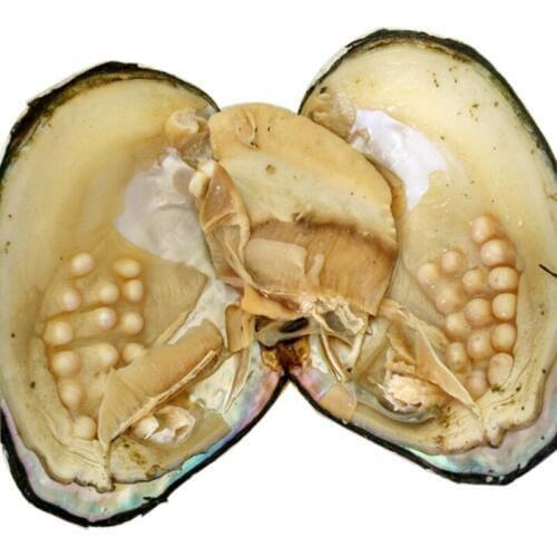 Jewelry Gifts Shell Wish Pearl Oyster Vacuum-packed 3-9mm Randomly Color/Shaped 100% Natural Real Pearls in Oyster Monster FP224
