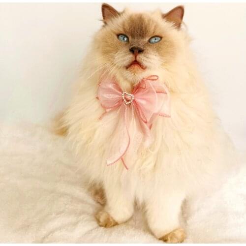 Pink Princess Gauze Cat Accessories Sweet Dog Collar Necklace Charm Pet Bowtie Scarf Cute Kitty Puppy Neck Decor York Chihuahua
