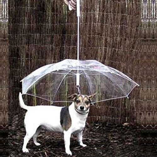 Summer Dog Raincoat Walking Waterproof Jacket Vest Clear Cover Built-in Leash Rain Sleet Snow Pet Umbrella Rain coat