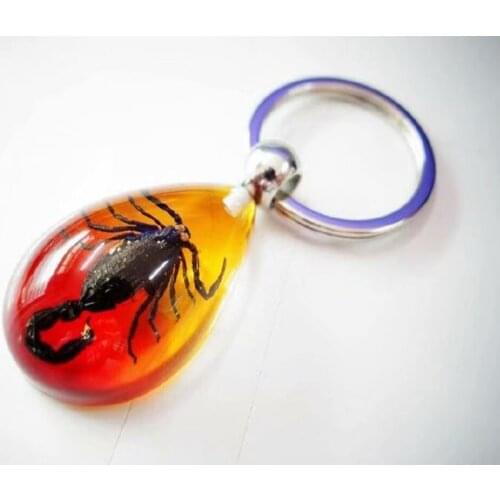 YQTDMY 10 pcs Personalized black scorpion king insect charming keychain