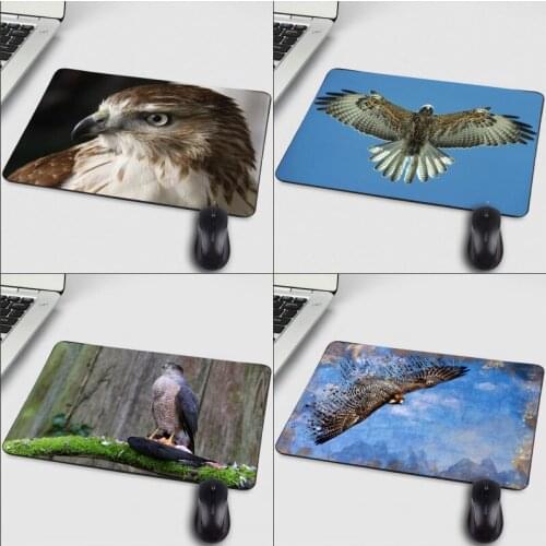 Mairuige 250x200x2MM Small Size Animals Falcon Pc Computer Game Mousepad for Decorate Your Desktop for Game Player Lol Dota Csgo