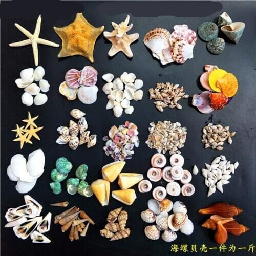 Natural Home Seashell Bead for Jewelry Coral Beach Starfish Maritime Mediterranean Style Marine Decoration Coastal Decor
