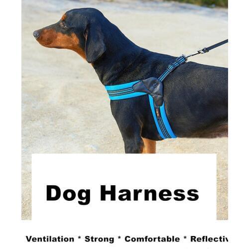 Reflective French Bulldog Pet Harness and Leash Set Cozy Mesh Dog Harnesses for Small Medium Dogs Pets Accessories