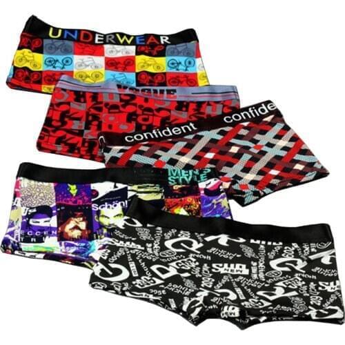 2pcs Summer Ice Silk Boxers Shorts for Tomboy Lesbian Elastic Waist Cartoon Pattern Print Underpants Women Underwear Panties