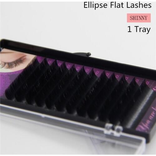 1 tray Shinny Flat Ellipse Eyelashes Extensions ellipse shaped bright black false eyelashes