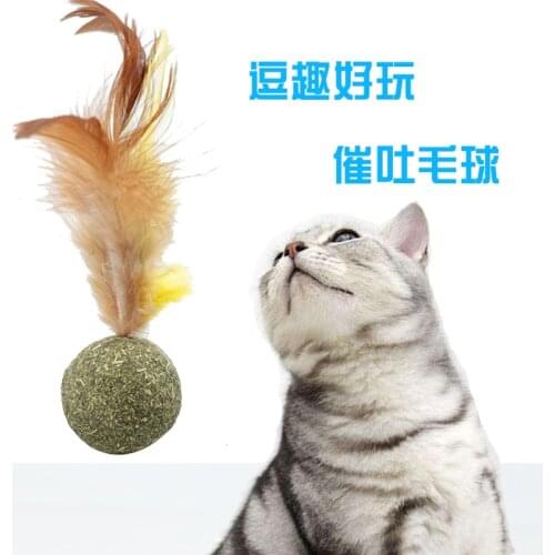 Healthy Natural mint Toys Pet with Feather Edible Mint Ball Catnip toys Chasing Game Toy Cleaning Teeth Kitten pet Product