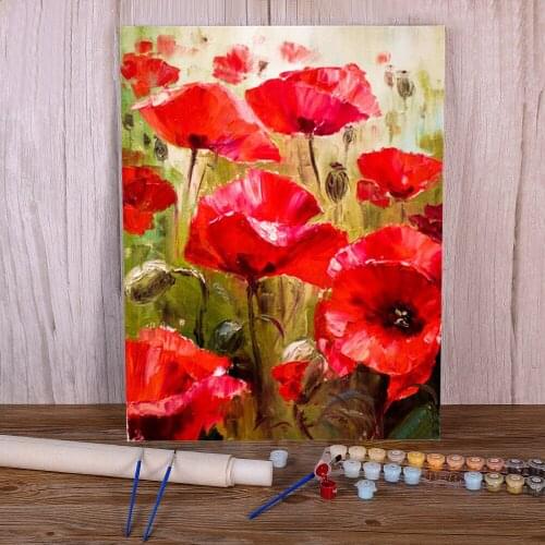 Poppy Flowers Coloring By Numbers Painting Set Oil Paints 40*50 Canvas Painting Handmade For Wholesale