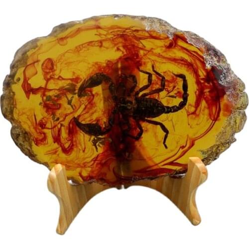 Amber insect specimen, handicraft, stone ornament, amber insect, send bracket