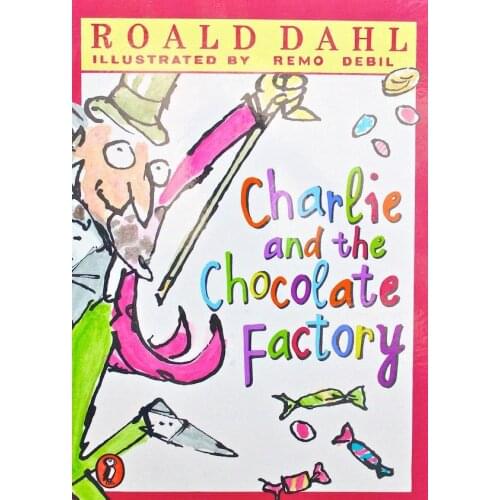 Charlie and the Chocolate Factory Book Cover Locket Necklace keyring silver & Bronze tone B0962