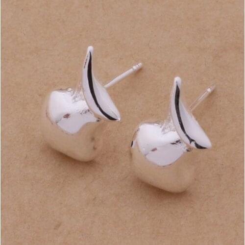 AE147 Trendy wholesale earrings , fashion jewelry , lovely shoe /bgiajxpa bgvajyca