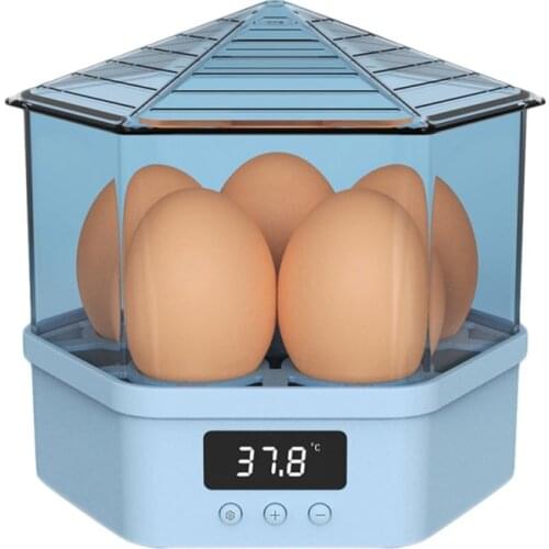 Five Pieces Automatic Smart Home Incubator Eggs Incubator Chicken Duck Pigeon Bird Egg Incubator Quail Parrot Hatcher Pet Tools
