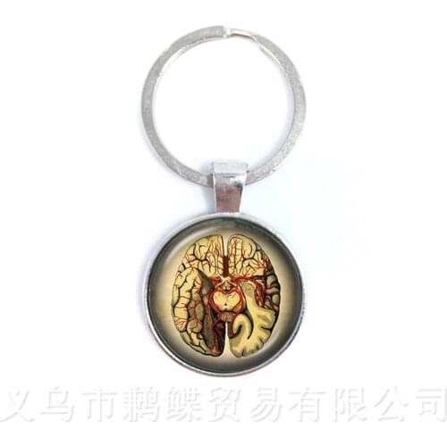Human Anatomy Brain Keychains Glass Cabochon Weird Cool Science Personalized Doctor Pendant Organ Creative Gift
