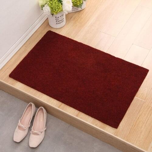 40*60cm Living Room Bedroom Door Carpet Anti-Slip Entrance Cleaning Shoes Carpet Solid Color Floor Mat TPR Foot Pad