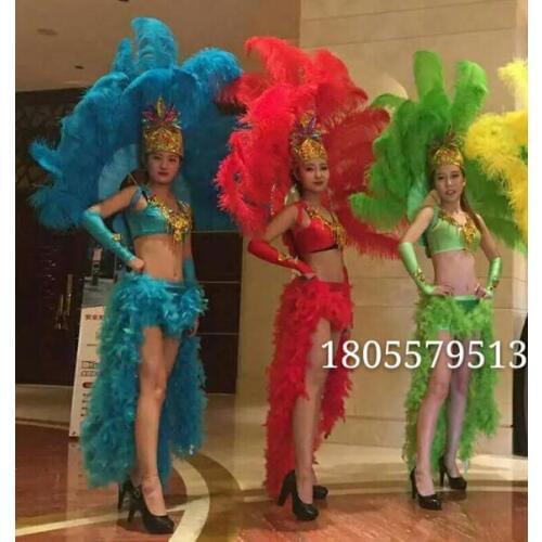Feather dance costumes Samba costumes Opening show Carnival Women dance