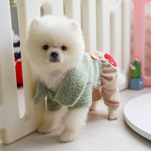 Autumn Winter Dog Puppy Clothes Apple Strap Skirt and Four Legs Jumpsuit Pet Outfits for Teddy Schnauzer Chihuahua Cute Clothing