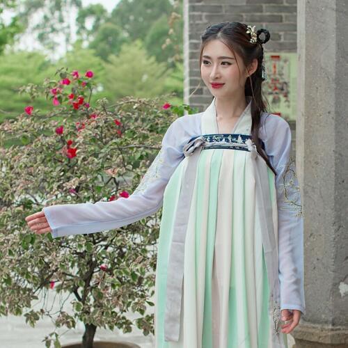 Chinese Ancient Tang Dynasty Clothing for Stage Women Chinese Folk Dance Costume Brocade Traditional Hanfu Dress Ethnic Outfit