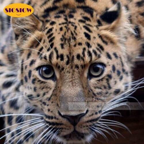 SIOSIOW Diamond Painting Full Drill Square Diamond Beads Embroidery Leopard Cross Stitch Picture Kits Hobby Gift Wall Decor Room