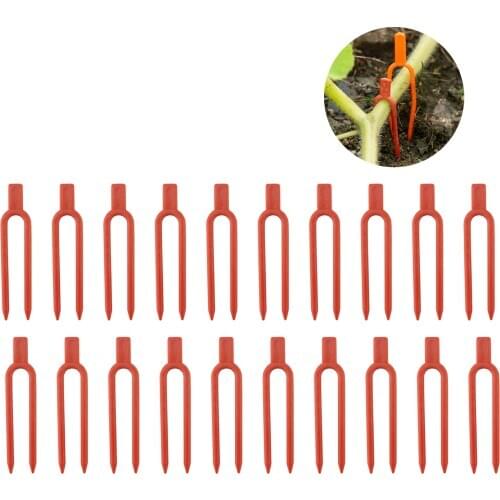Strawberry Fork Agricultural Clip Gardening Tools Fixed Fixture Clamps Plastic Environmental Orange Durable 100PCS/Set 100pcs