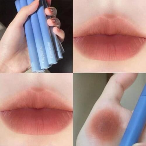 Velvet Matte Lip Glaze Moisturizing Not Easy To Fade Cup Lip Gloss Waterproof Long Lasting Lipstick Makeup Cosmetic TSLM1