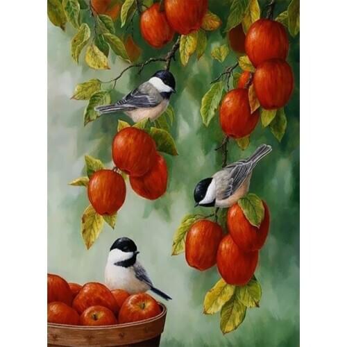 DIY Painting By Numbers Kids Coloring Animals bird Paint By Numbers For Adults Photo Frames For Picture Decor For The Home