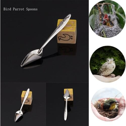 2pcs/set Bird Parrot Feeder Feeding Spoon Stainless Steel Water Milk Powder Feeder Spoons Bird Supplies Hot Sale