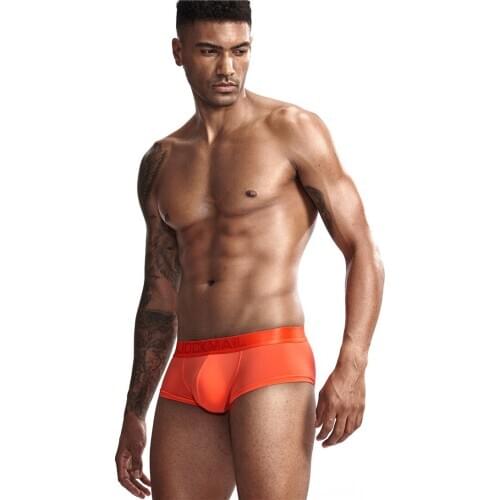 Sexy Mens Boxer Ultra Thin Seamless Ice Silk Underwear Male Translucent Breathable Panties Sexy Penis Pouch Lingerie Underpants