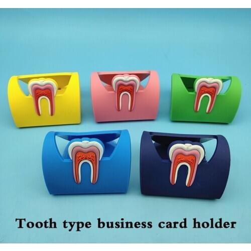 5pcs Storage Stand for Dental Clinic Cute Name Card Holders Dental Rubber Teeth-Shape Molar Shaped Phone Display Dentist Gift