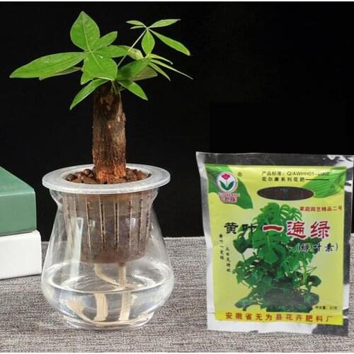 40g Trace Element Amino Acid Foliar Fertilizer Water For Plant Organic Fertilizer Release Potted Fruit Flower Soluble Veget Q8C3