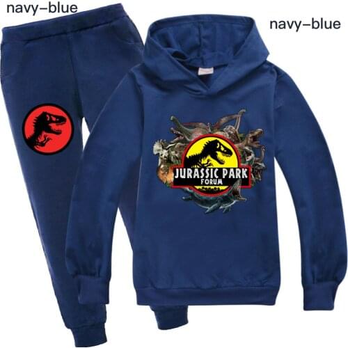 Jurassic Design Hoodie boy girl Hip Hop Print Sweatshirt Thats all folk Dinosaur Park Pullover girl Autumn Warm Streetwear Suit