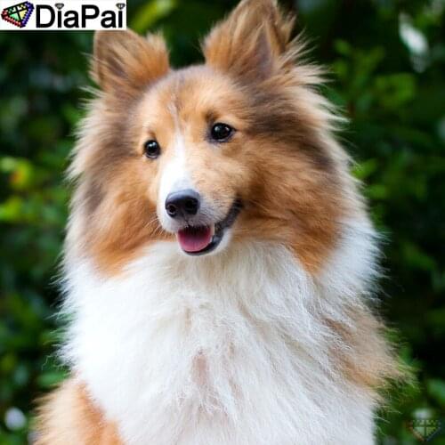 DIAPAI DIY 5D Diamond Painting "Animal dog" Full Diamond Embroidery Sale Picture Of Rhinestones For Festival Gifts A25611