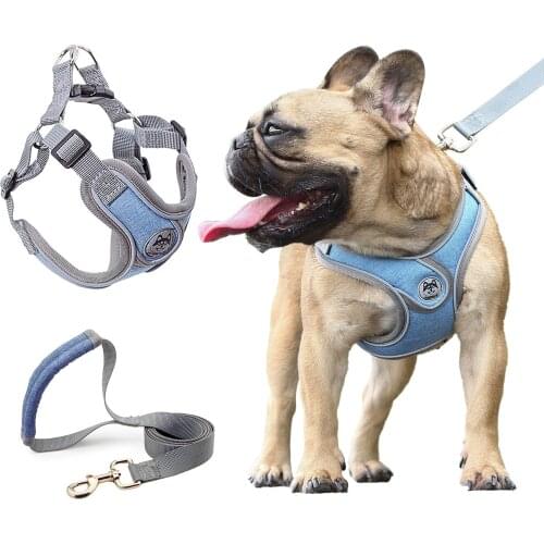 Dog Harness Vest Reflective Small Dog Leash Collar For Terrier Schnauzer Pet Cat Dog Walking Training Supplies Chihuahua