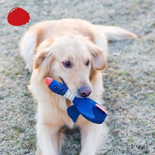 Dog Molar Wild Goose Voice Toys Teddy Dog Golden Retriever Big Dog Molar Bite Pet Toys Wholesale