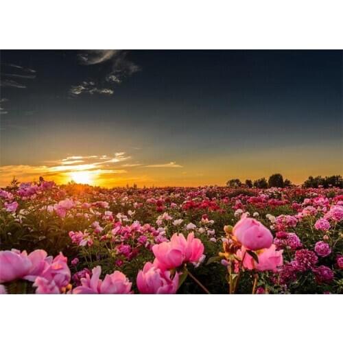 Full square / round 5D DIY Diamond Painting Sunset scenery picture Mosaic Diamond Embroidery Flowers Decoration Painting GH540