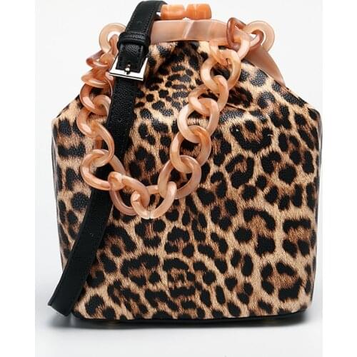 Women Famous Brands Purses And Handbag For Girls Women Box Bag Handbag Luxury Designer 2021 Acrylic Thick Chain Clip Bucket Bags