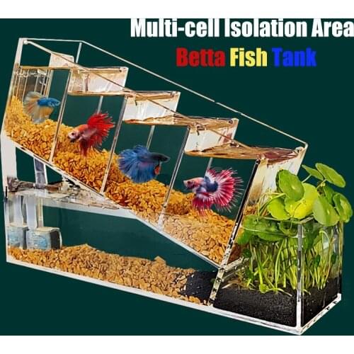 Creative Betta Fish Tank Acrylic Multi-cell Isolation Area Self-circulating Filtration Water-free Ecological Aquarium Tank