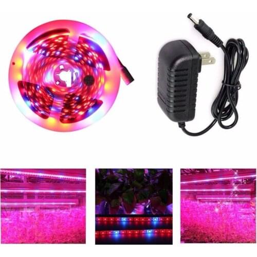 1m 2m 3m 4m 5m 5050 LED Grow Lights DC 12V waterproof/non waterproof Growing LED Strip Plant Growth Light Set with Power Adapter