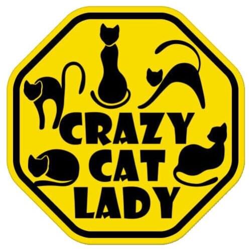 New High-quality Warning Crazy Cat Lady Color Car-Sticker Decals Bumper Bodywork Vinyl Car Interior KK13*13cm