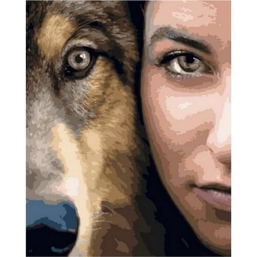 Frameless diy painting by numbers picture by numbers for home decor PBN for living room 4050cm lady with dog