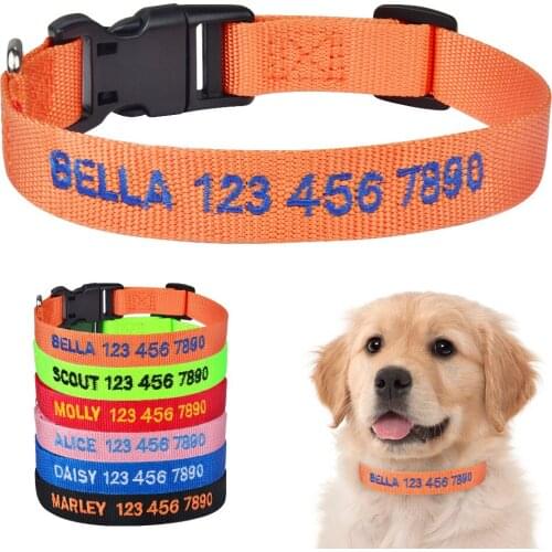 Personalized Dog Collar Adjustable Nylon Products Dog Collars Custom Embroidered Name Tag Puppy Medium Large Unisex Dogs Collar