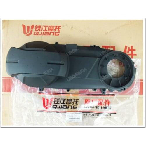 Motorcycle Parts Silver Edge BJ250T-8 Engine Left Cover